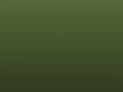 Placeholder photo for Lotus Tea — Trà Sen